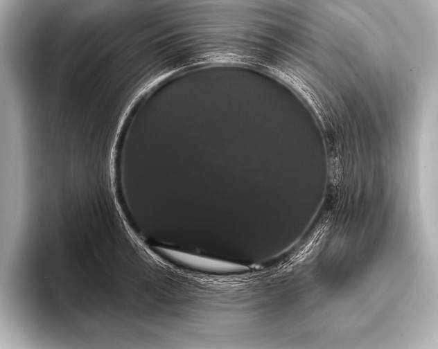 X0000093400995200710260913