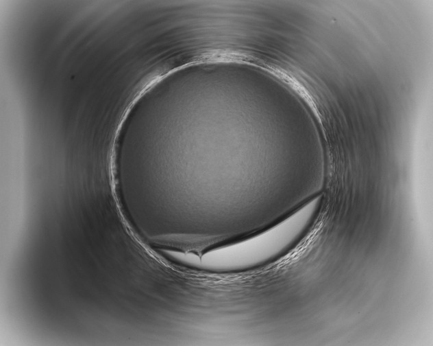 X0000093400997200710260913