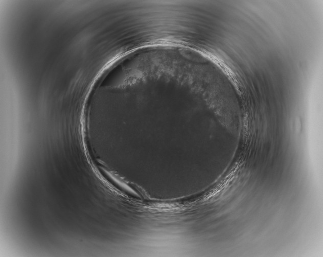 X0000093400998200710260913