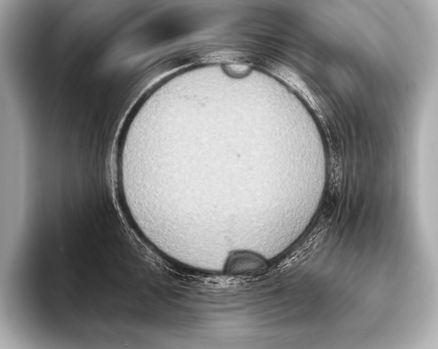 X0000093401000200710260913