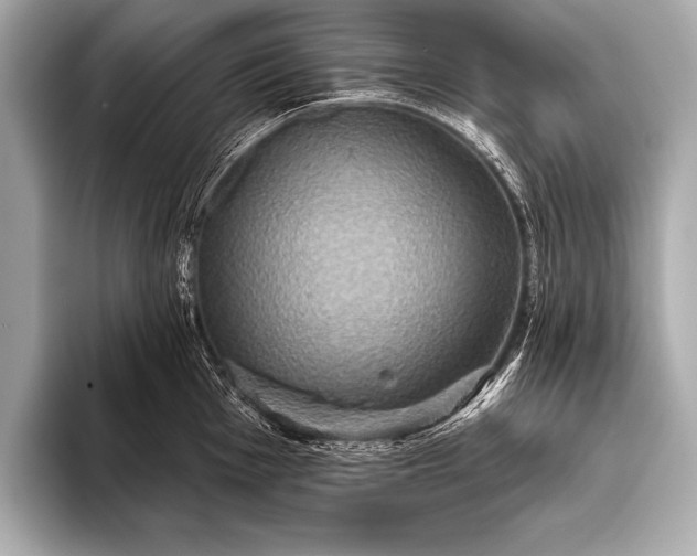 X0000093401001200710260913