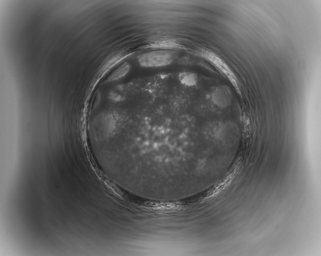 X0000093401002200710260913