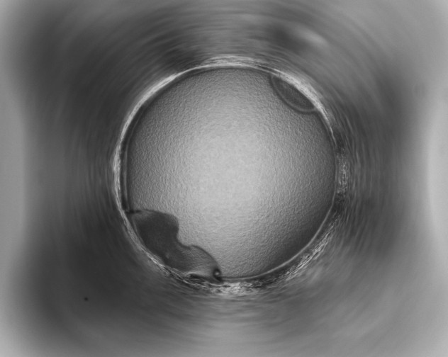 X0000093401003200710260913