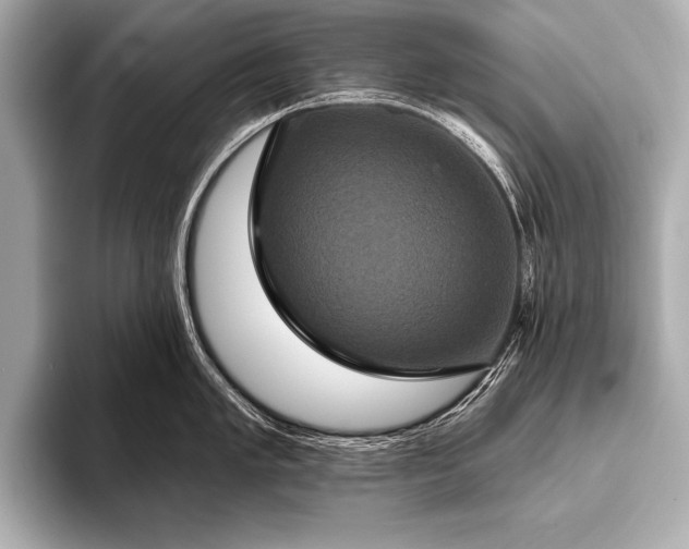 X0000093401005200710260913