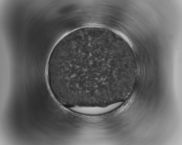 X0000093401007200710260913