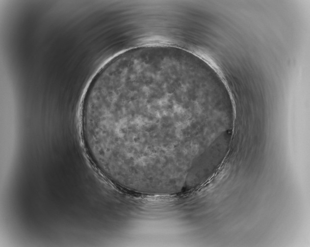 X0000093401008200710260913