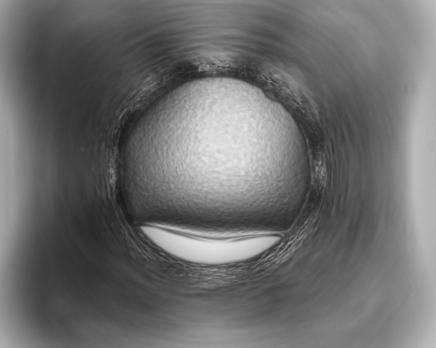 X0000093401012200710260913