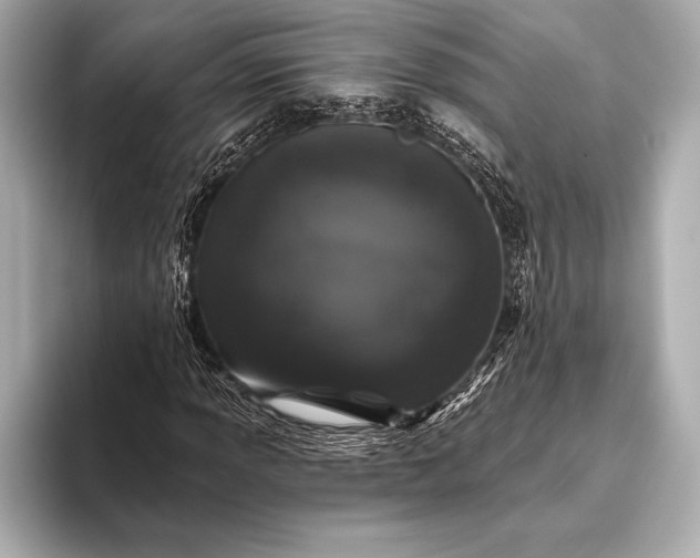 X0000093401013200710260913