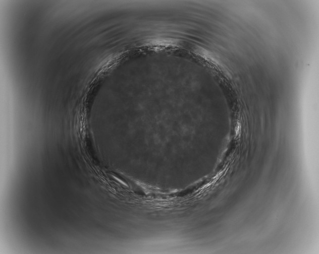 X0000093401014200710260913