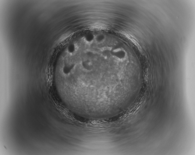 X0000093401015200710260913