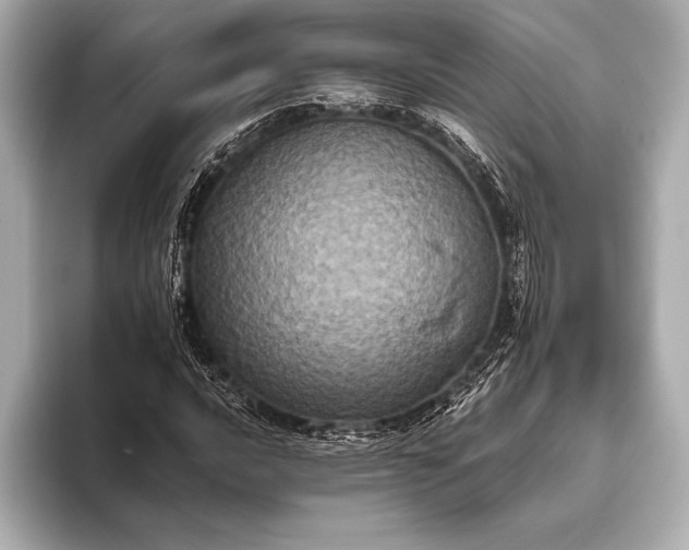 X0000093401016200710260913