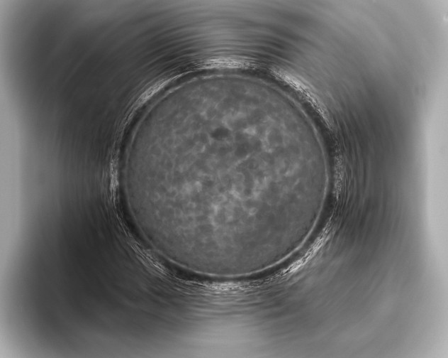 X0000093401017200710260913