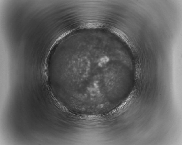 X0000093401018200710260913