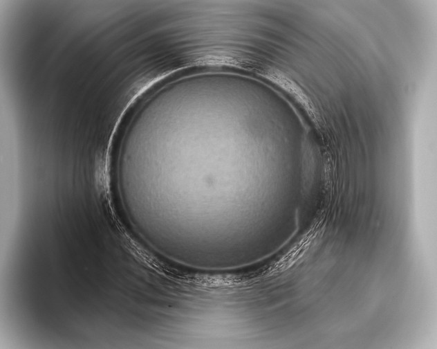 X0000093401020200710260913