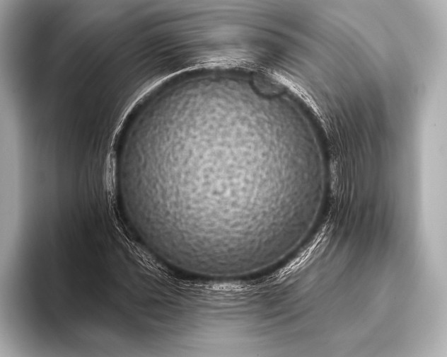 X0000093401021200710260913