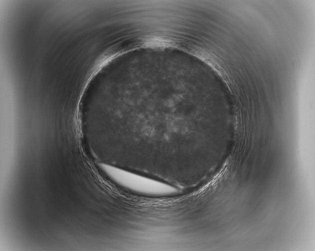 X0000093401022200710260913