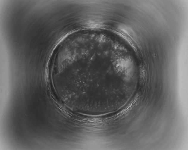 X0000093401023200710260913