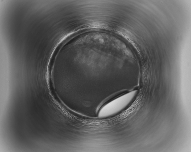 X0000093401024200710260913