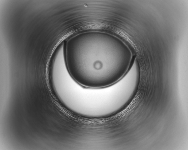 X0000093401026200710260913