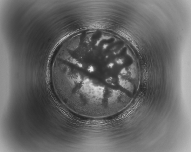 X0000093401027200710260913