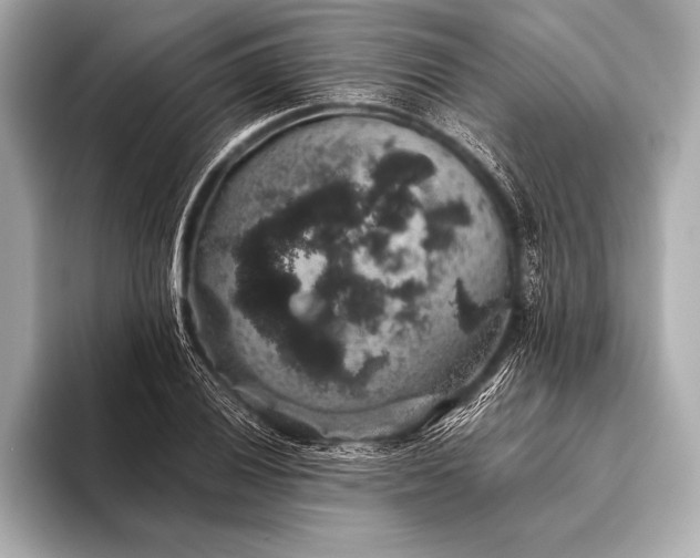 X0000093401028200710260913