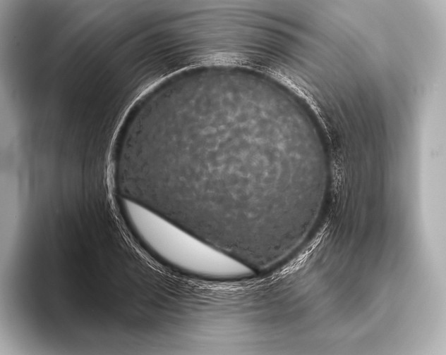 X0000093401029200710260913