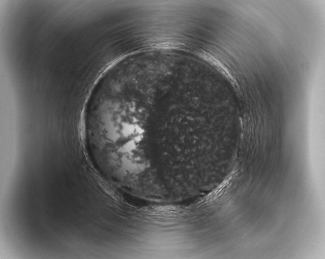 X0000093401031200710260913