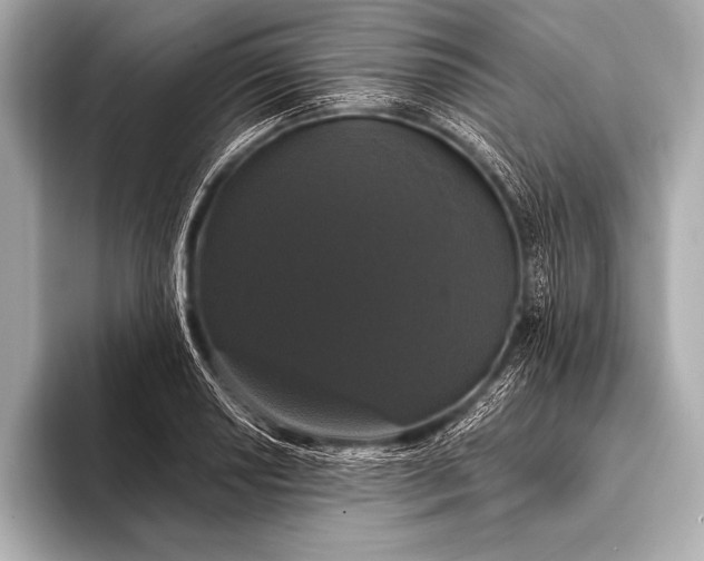 X0000093401034200710260913