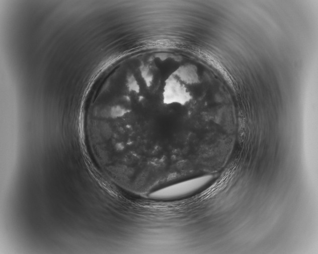 X0000093401035200710260913