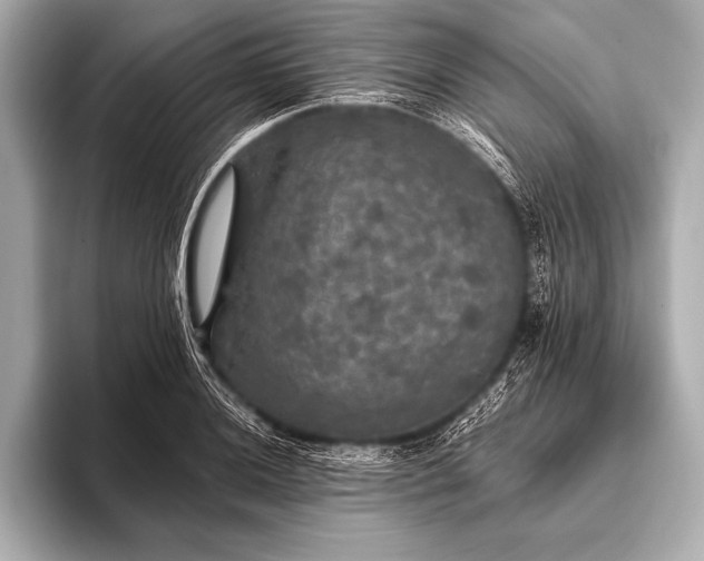 X0000093401036200710260913