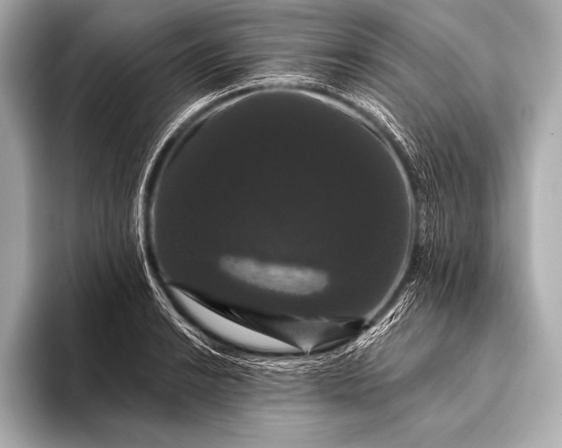 X0000093401038200710260913