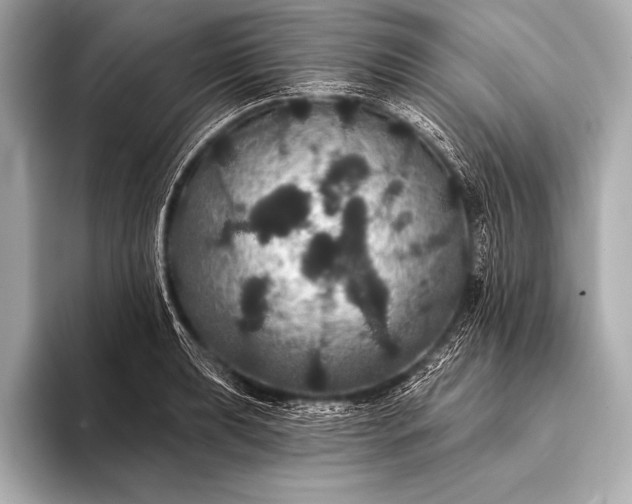 X0000093401039200710260913