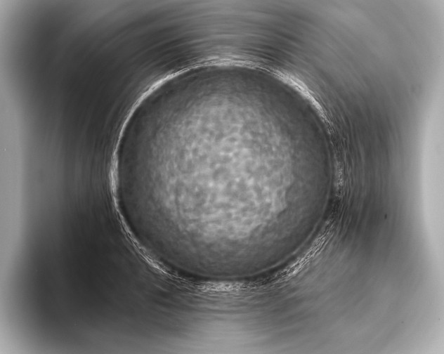 X0000093401040200710260913