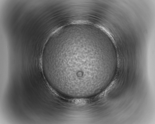 X0000093401041200710260913