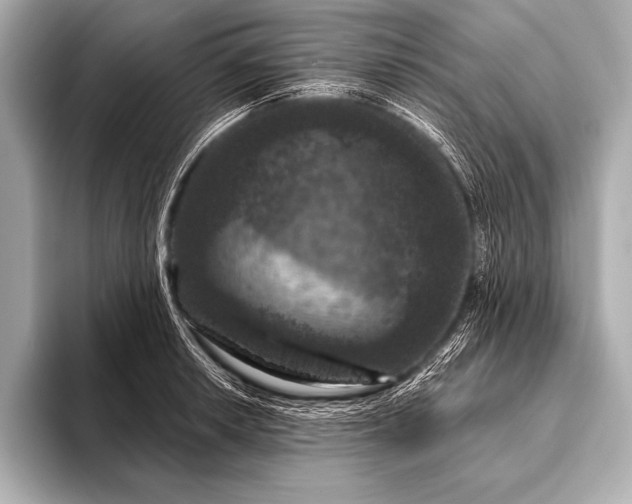 X0000093401042200710260913