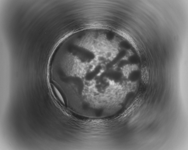 X0000093401043200710260913