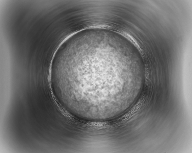 X0000093401044200710260913