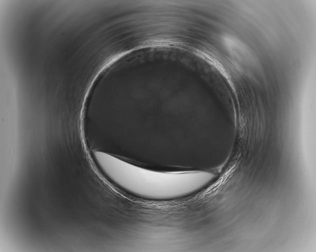 X0000093401045200710260913