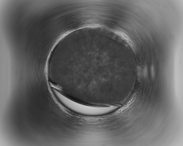 X0000093401046200710260913