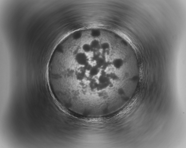 X0000093401047200710260913