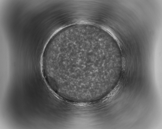 X0000093401048200710260913