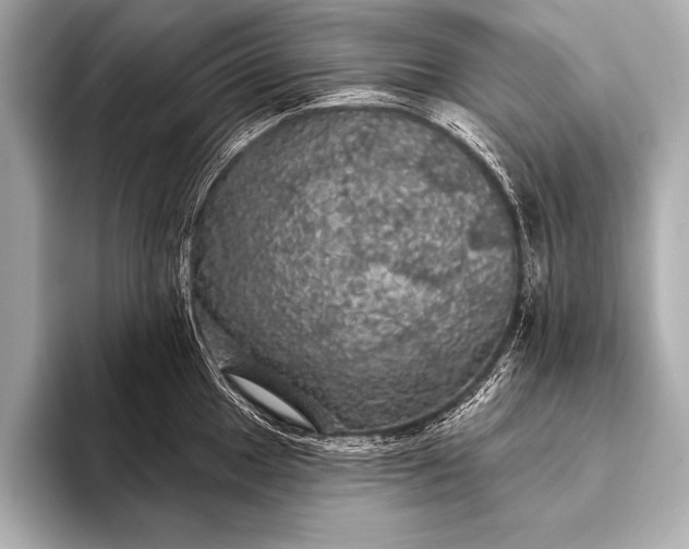 X0000093401049200710260913