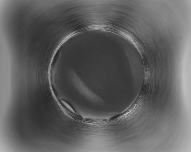 X0000093401050200710260913