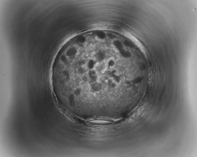 X0000093401051200710260913