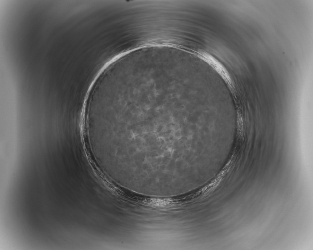 X0000093401052200710260913