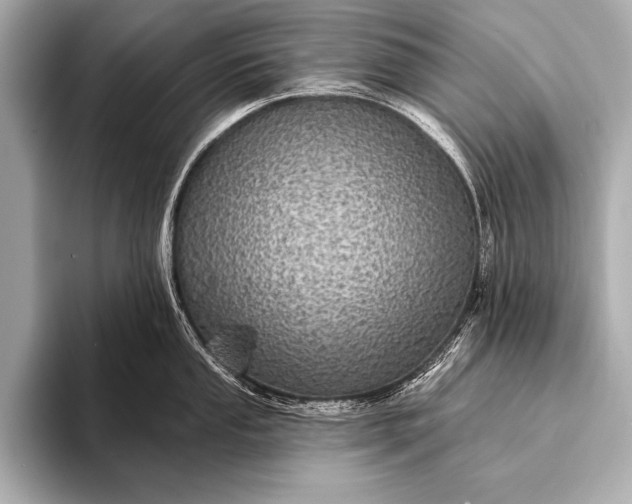 X0000093401053200710260913