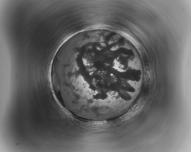 X0000093401055200710260913