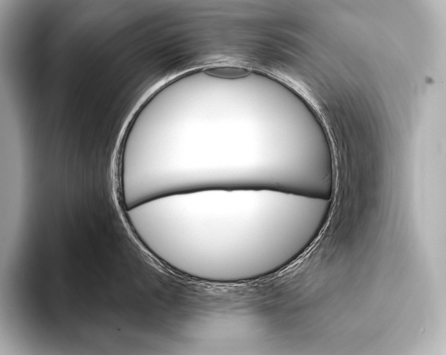 X0000093401056200710260913