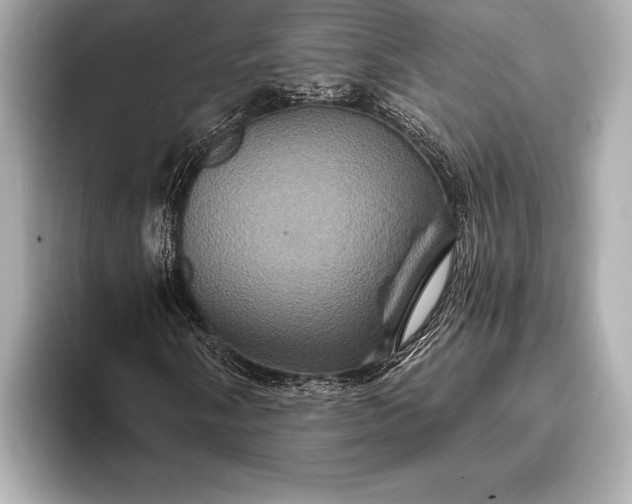 X0000093401058200710260913