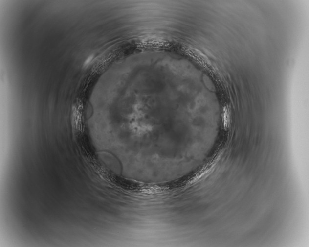 X0000093401059200710260912